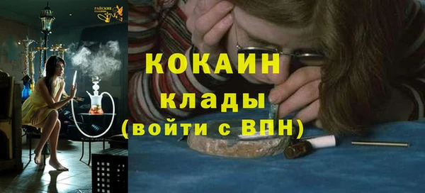 сатива Алзамай
