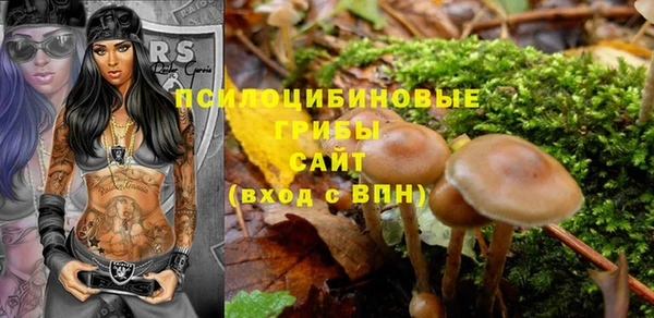 сатива Алзамай