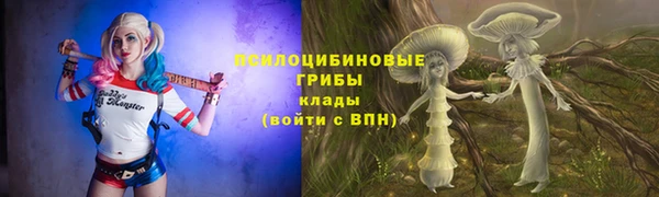 ПСИЛОЦИБИНОВЫЕ ГРИБЫ Алексеевка