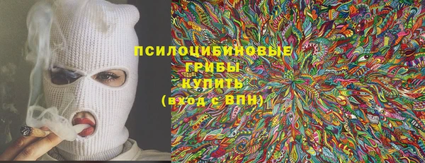 сатива Алзамай